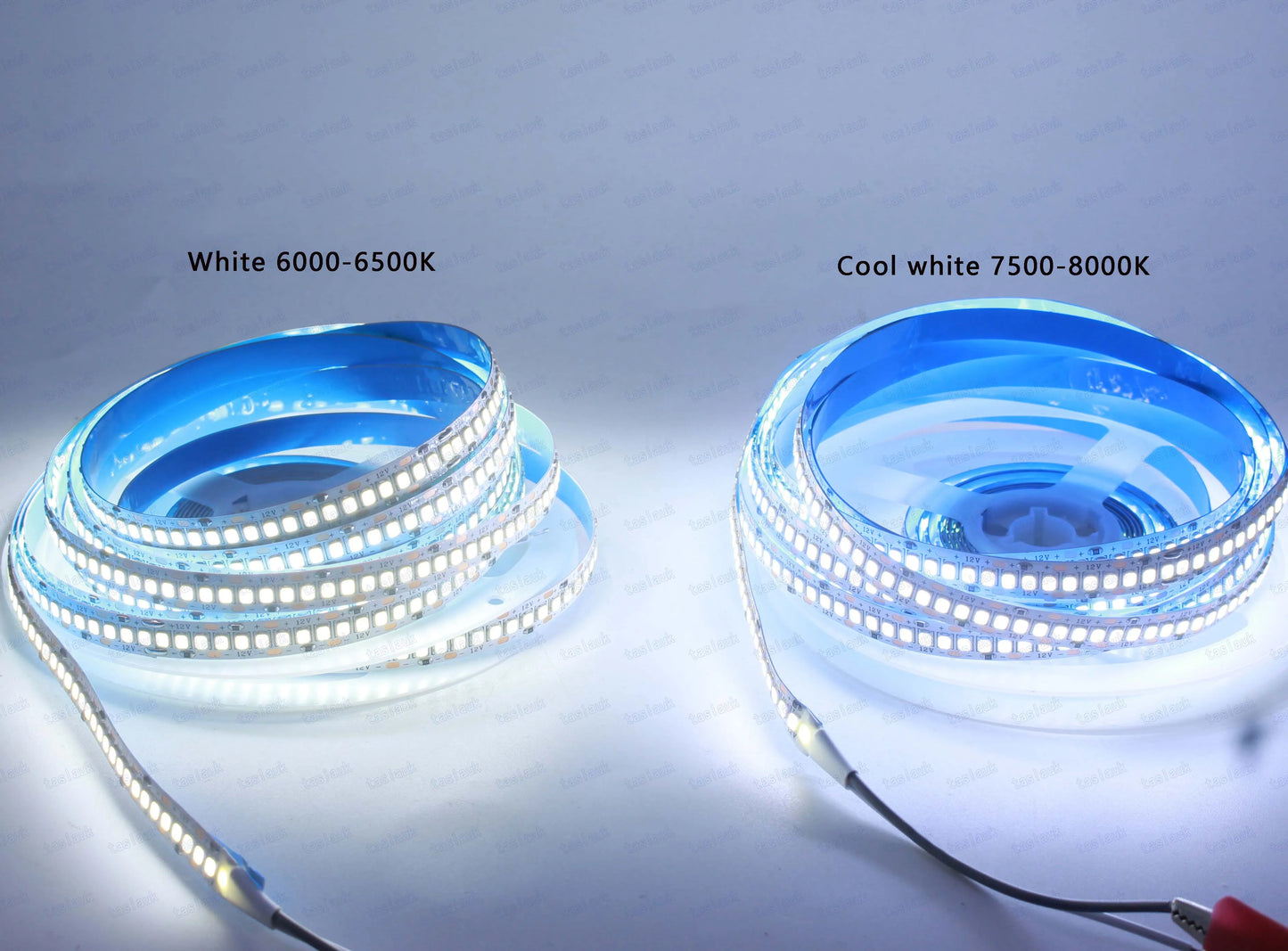 Fita LED 2835 240 LEDs/m com Controlador 12V – Alta Luminosidade para Ambientes Internos